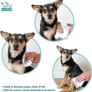 Pet Grooming Wipes for Dogs & Cats